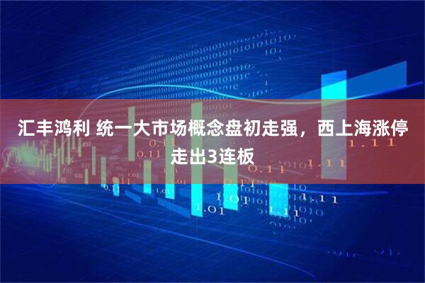 汇丰鸿利 统一大市场概念盘初走强，西上海涨停走出3连板