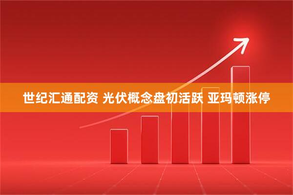 世纪汇通配资 光伏概念盘初活跃 亚玛顿涨停