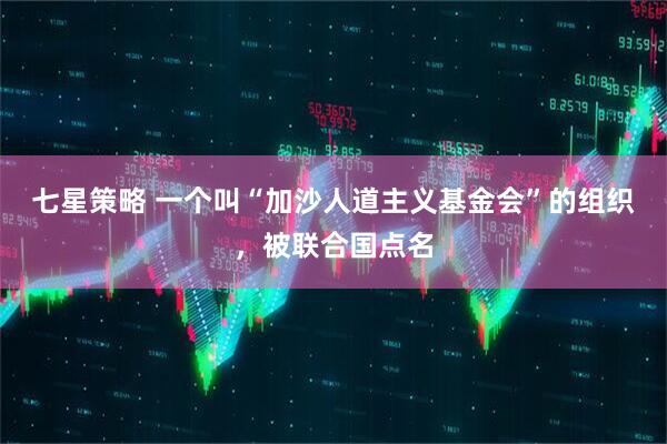 七星策略 一个叫“加沙人道主义基金会”的组织，被联合国点名