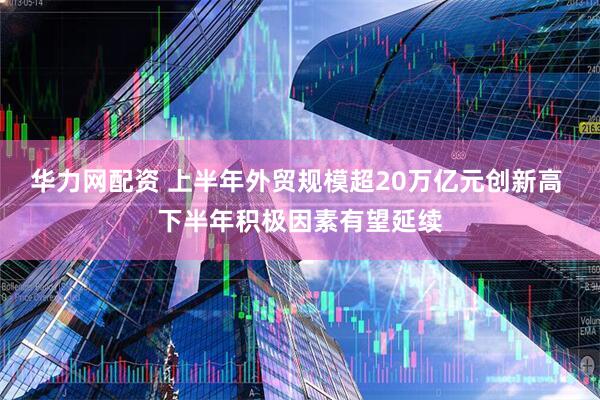 华力网配资 上半年外贸规模超20万亿元创新高 下半年积极因素有望延续