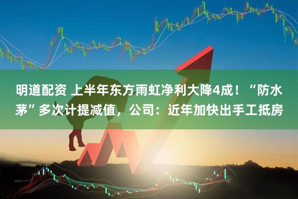 明道配资 上半年东方雨虹净利大降4成！“防水茅”多次计提减值，公司：近年加快出手工抵房